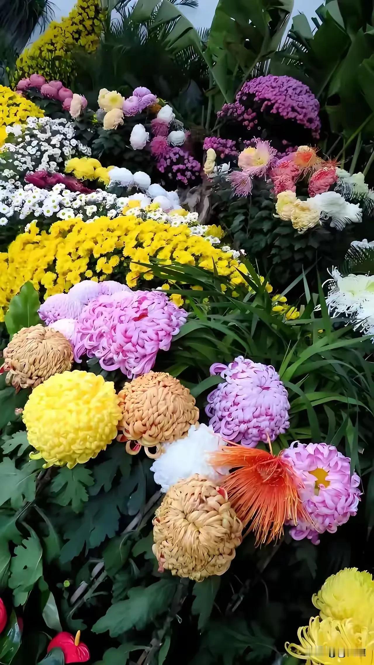 上联:月映荷塘秋色艳
下联:霜染菊篱晓风清
横:秋爽风清