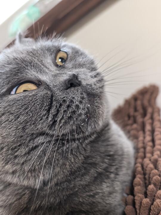 总流口水这是什么毛病