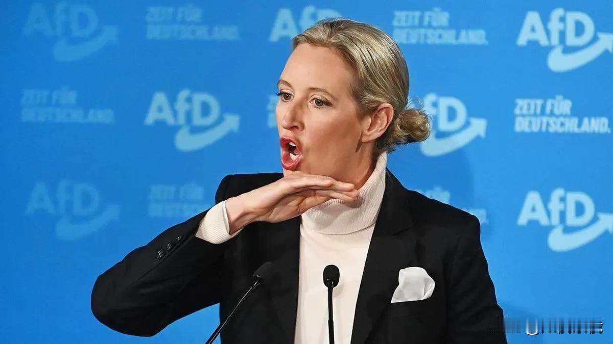 魏德尔：如不大规模改革，德国将退出欧盟

德国选择党共同主席阿丽斯·魏德尔在斯特