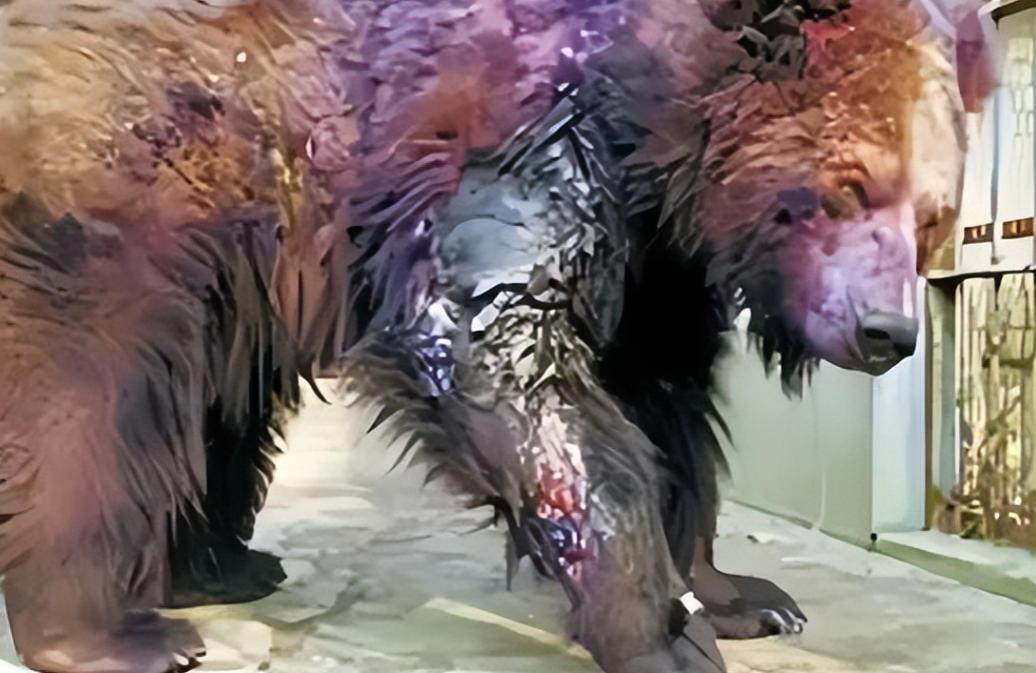 2002年，年仅22岁的清华学生刘海洋，在北京动物园先后用浓硫酸泼伤五只熊。如今