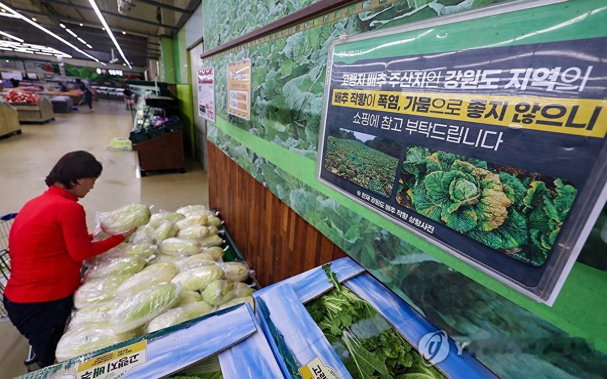 韩国的白菜涨到天价，韩国民众依旧不愿意从中国进口白菜，饿死也要坚守政治正确。
 