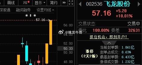 飞龙股份002536📈日内涨停，恭喜上车的朋友！