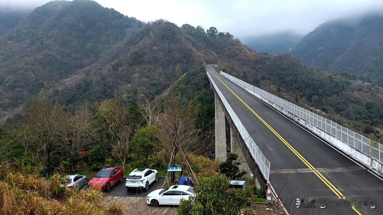 网上现在有个言论，就是美国福特汽车ceo或者是某某欧吧，反正就是美国福特汽车的某