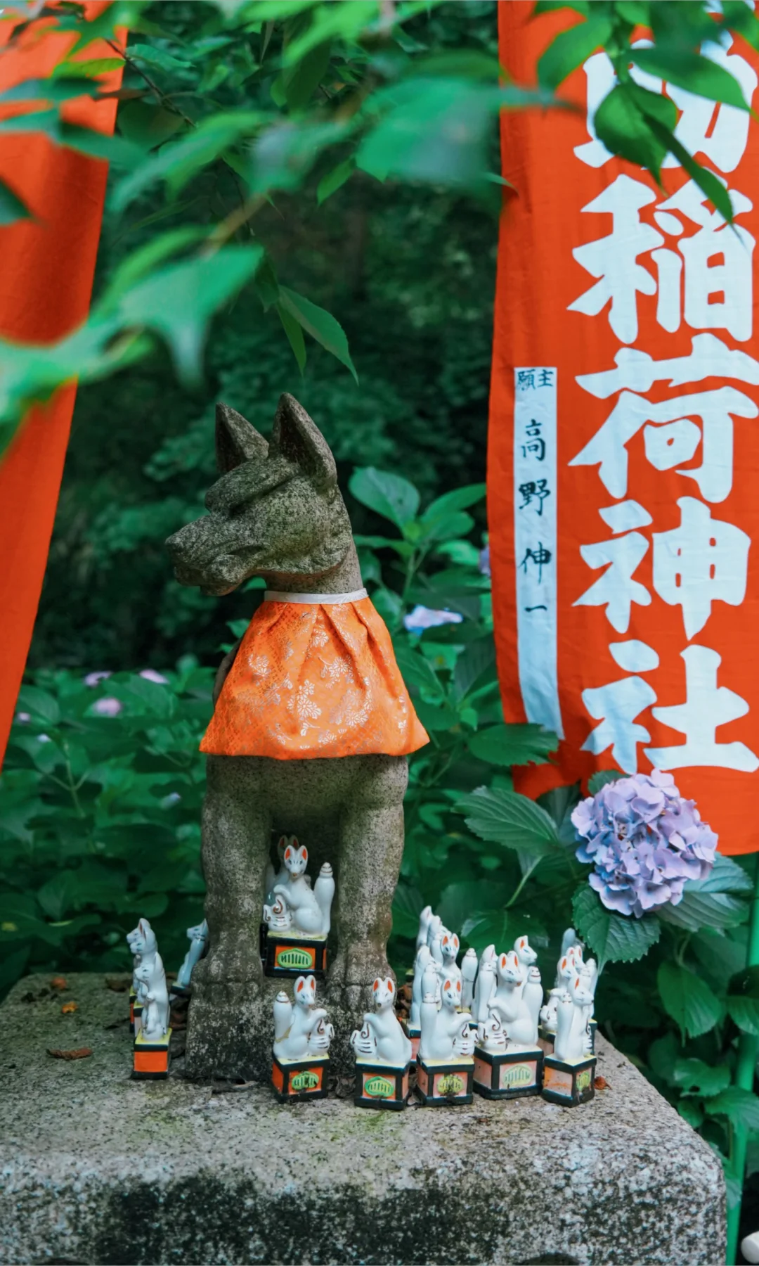⛩镰仓“出世稻荷”守护和宠物的羁绊！