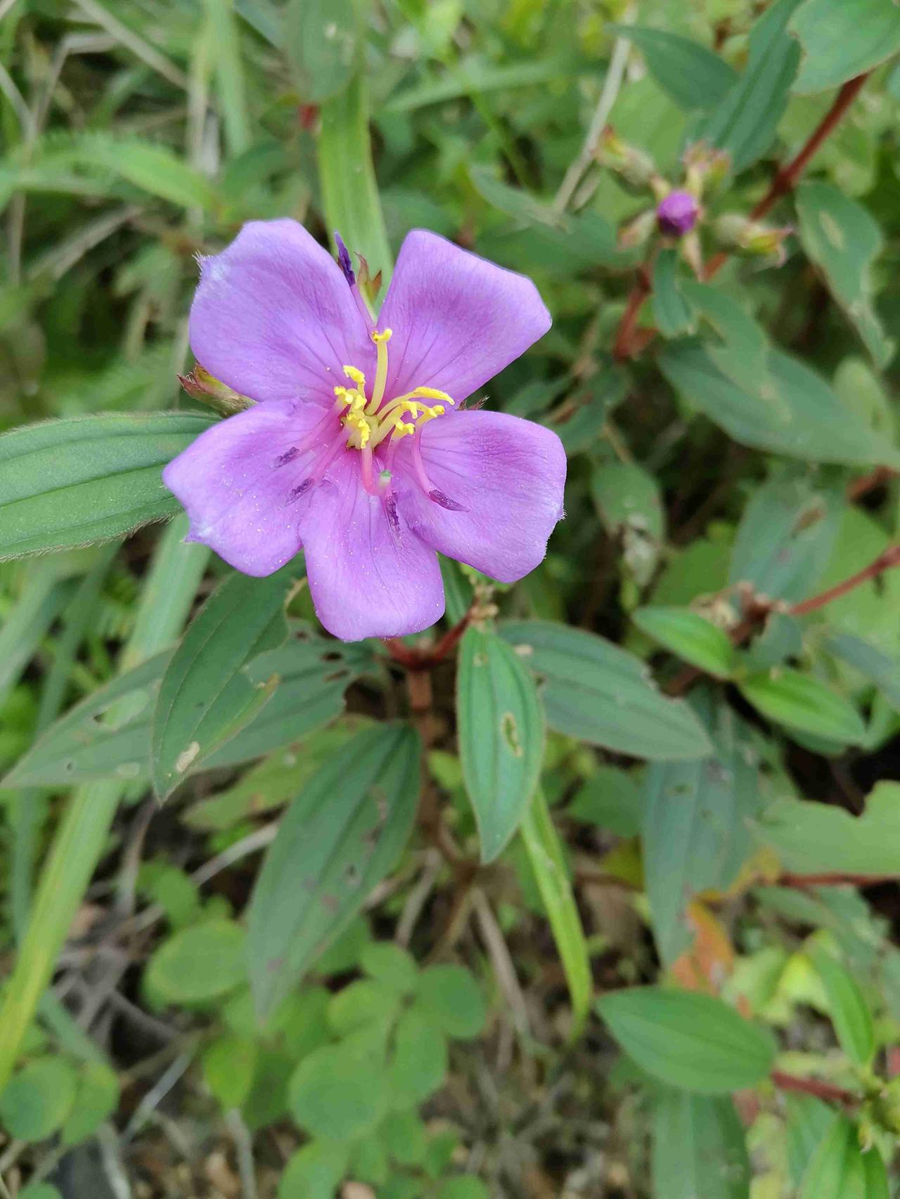 别觉得话少就是木讷、不合群。

真正聪明的人，都懂得：语言的重量，在质不在量。
