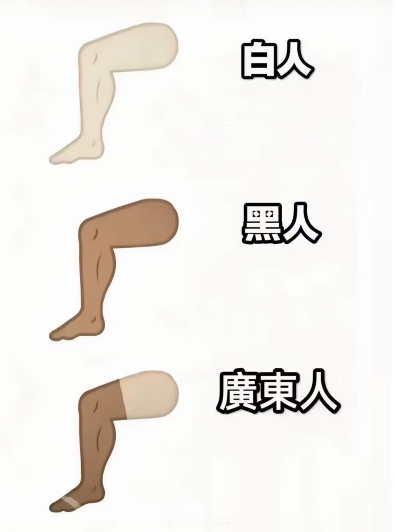 礼貌吗