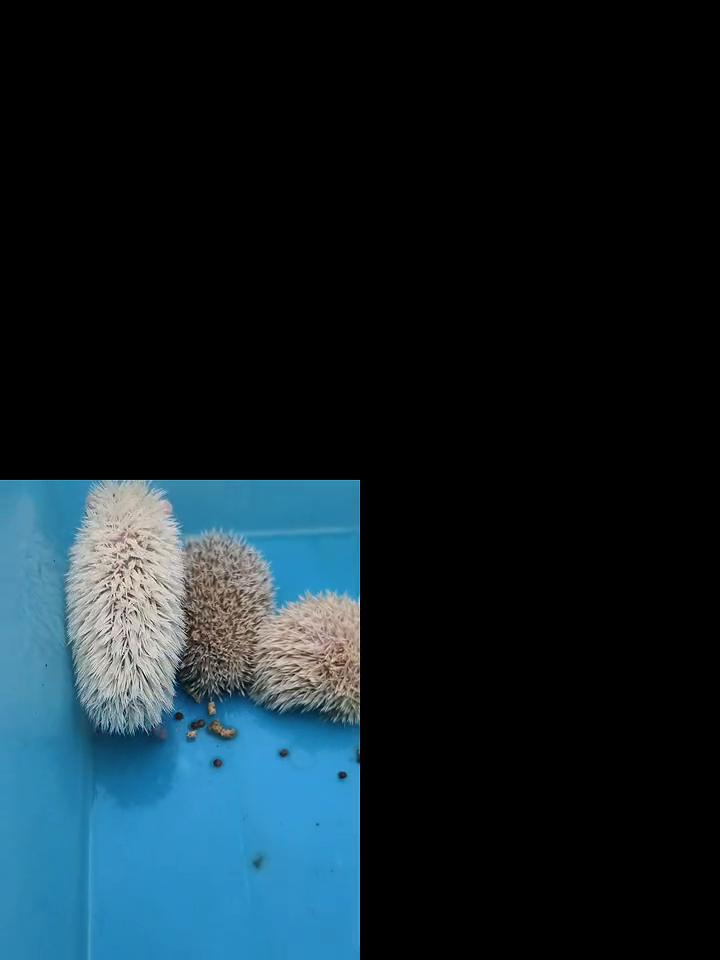 今天很火。