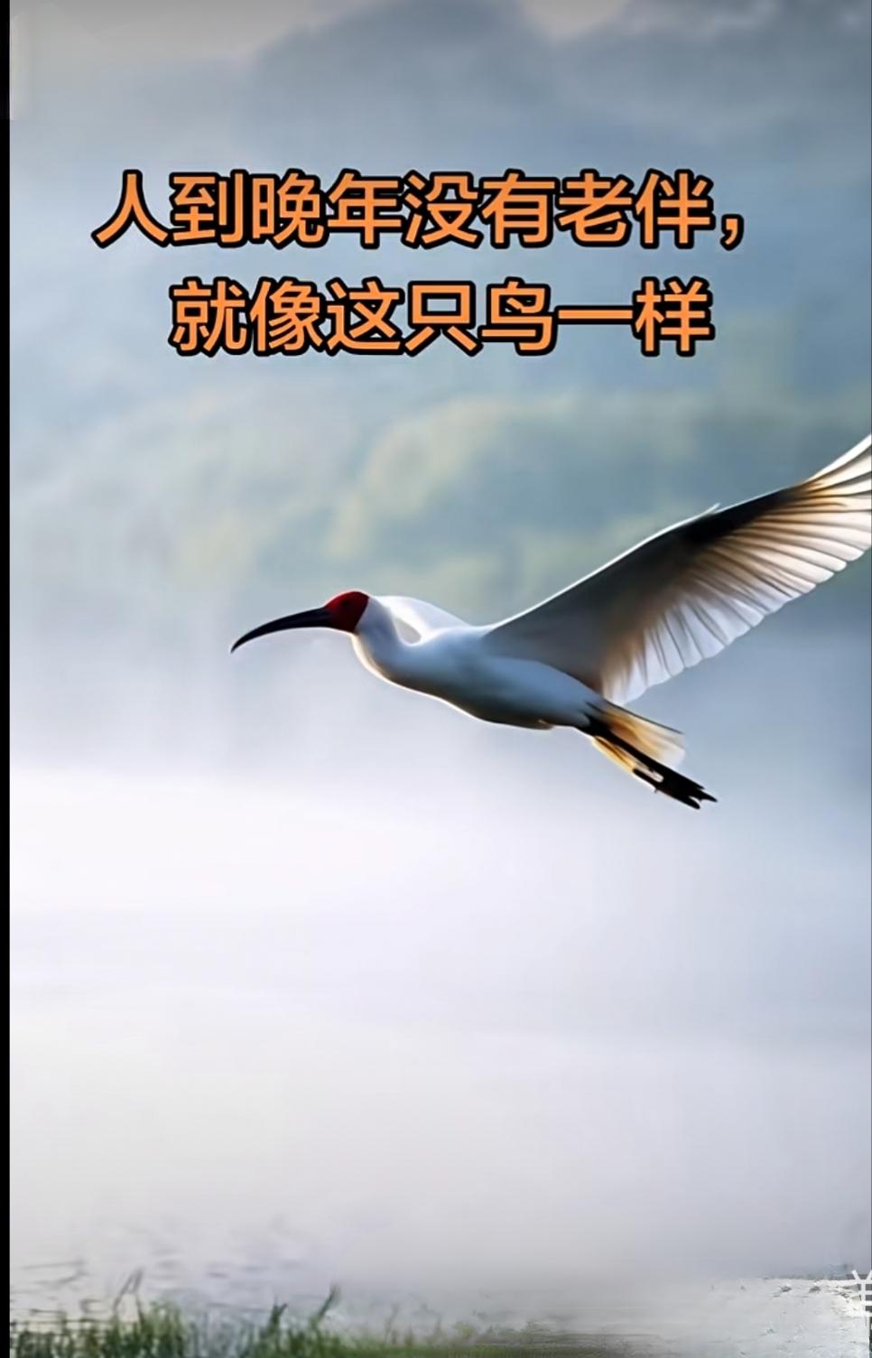 如果你家人去世了，你会睡不着吗失去家人是一件非常痛苦和难以接受的事情，很多人在经