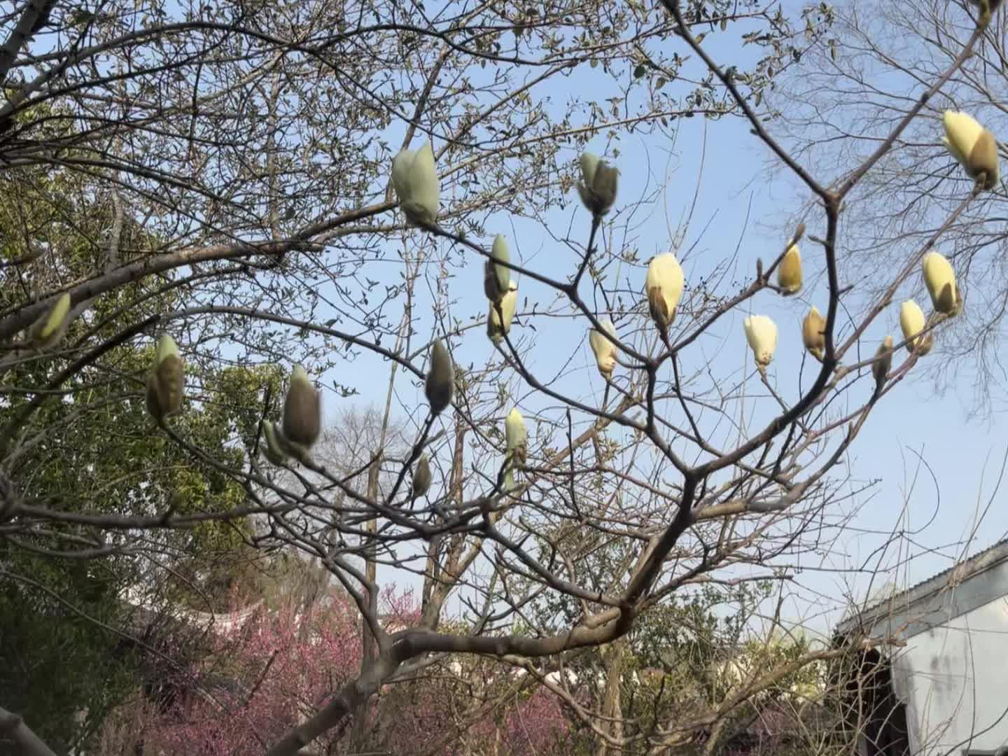 不在烂事上纠缠。 不为不值得的人生气，让自己活得高贵一点，会放下烂人烂...