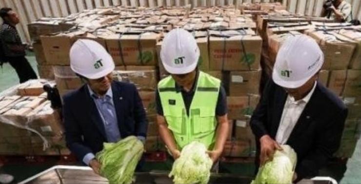 “中国要被我们拖垮了！”2024年，韩国上千人拒绝吃从中国进口的白菜，本想给我们