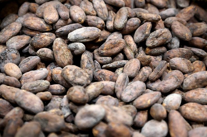 我不买苹果手机，原因一箩筐。首先价格贵得离谱，全球市场上都名列前茅，普通人花一两