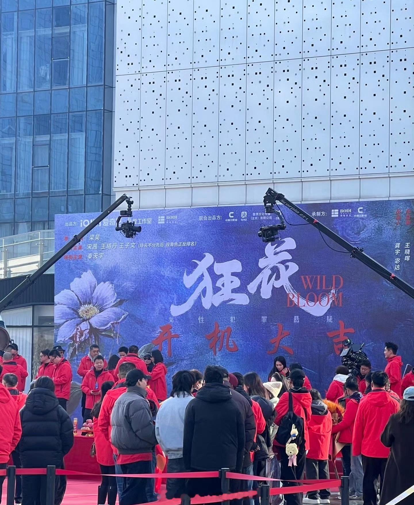 现在影视圈天天搞番位搞魔怔了吧 