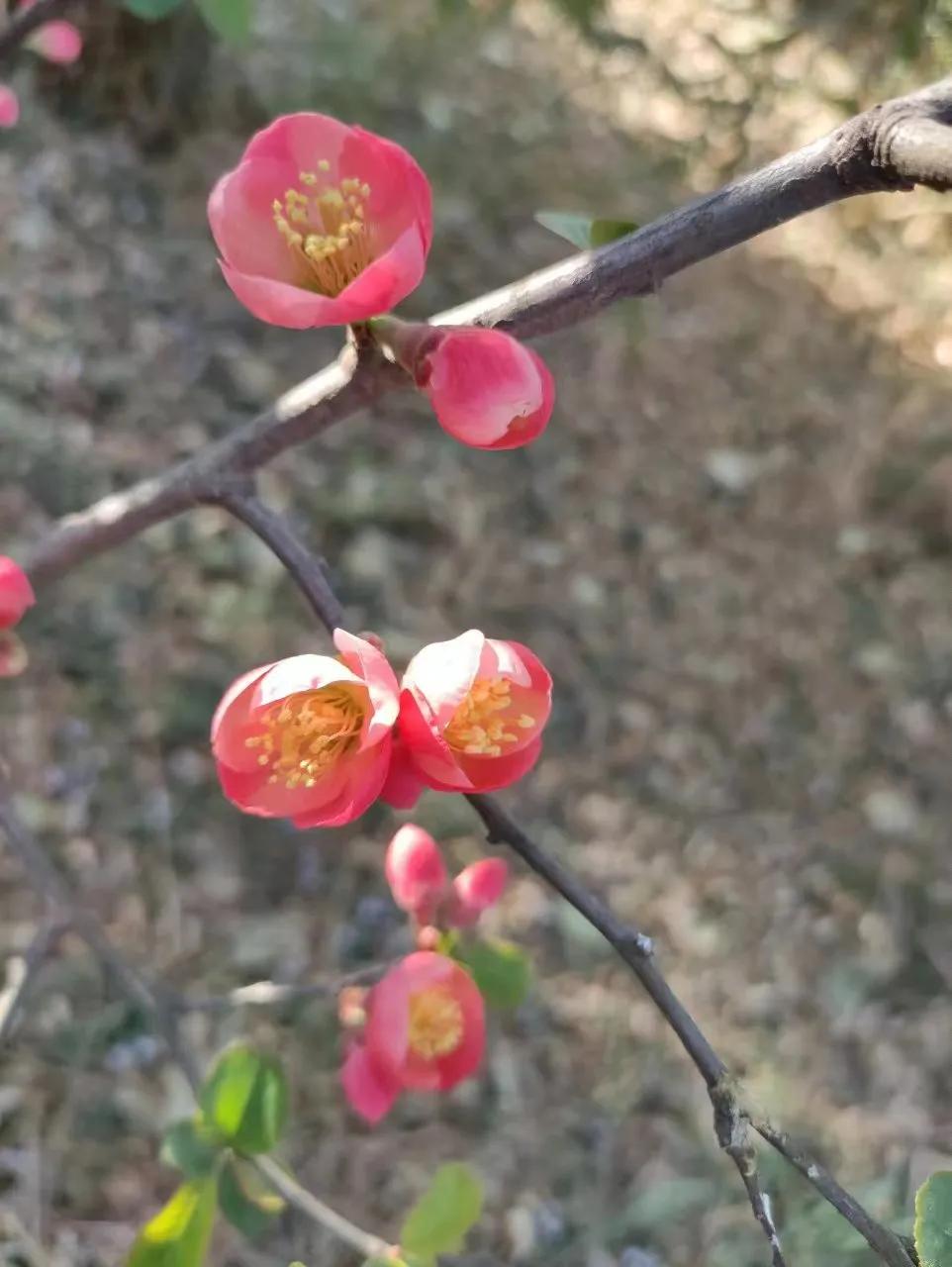 女人最舒服的活法，

从来不是争输赢，

而是学会把心放轻。

话不必多，
多说