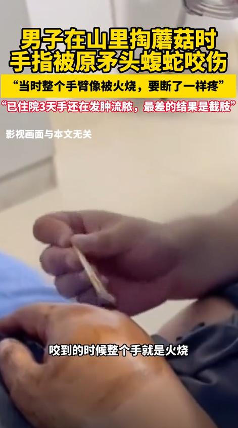 “长点心吧！”前两天，四川一男子上山想着弄点蘑菇尝尝鲜，结果掏着掏着，发现一窝乌