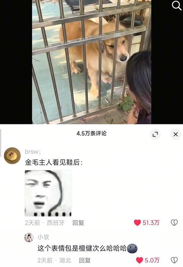 随橙想，比《爱情有烟火》先火的居然是檀健次李亦非表情包…
