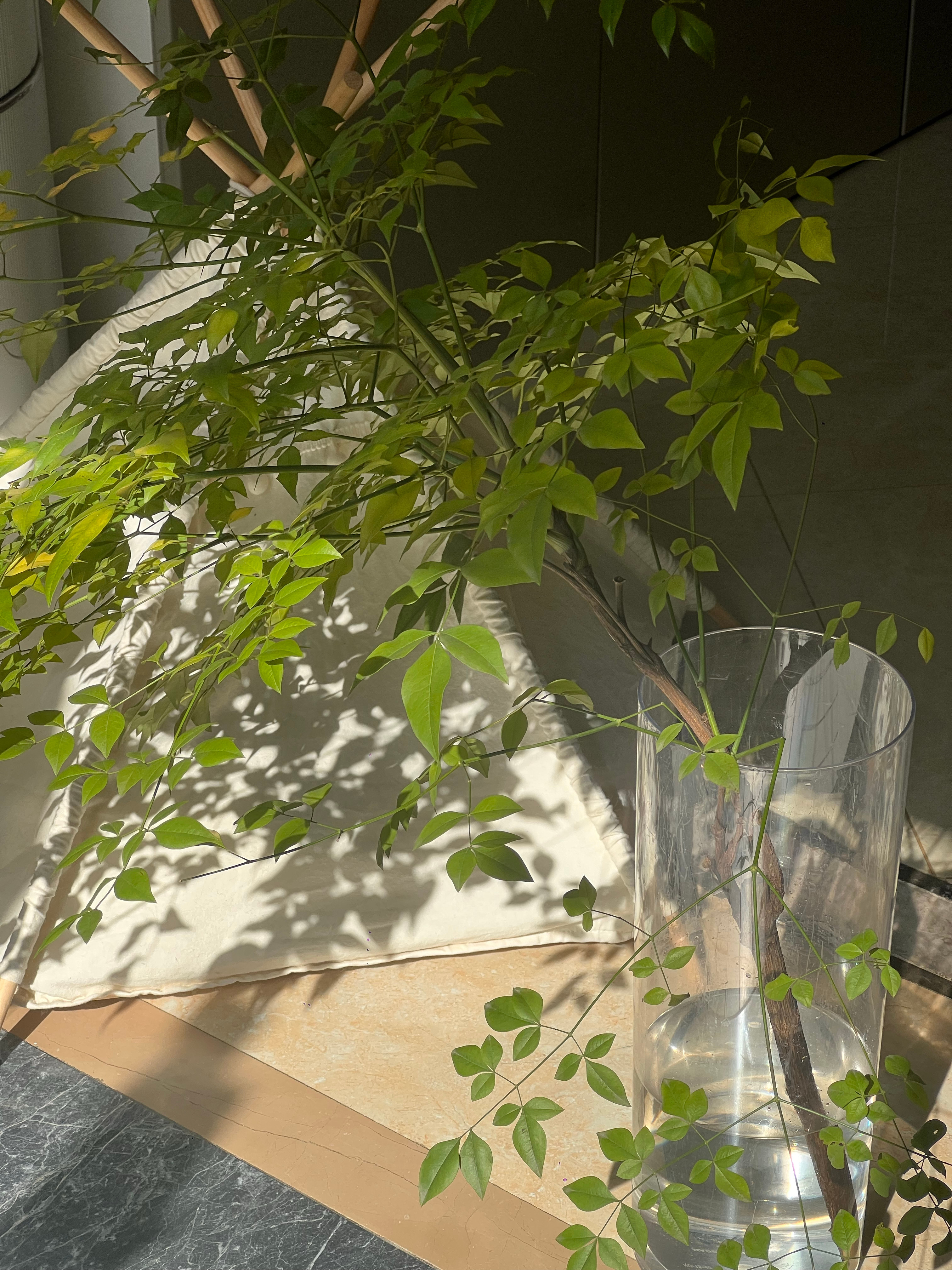 上周末扎实的病了，周一嗓子罢工彻底失声，下午头痛翘班回家睡觉，除了起来接娃做饭之