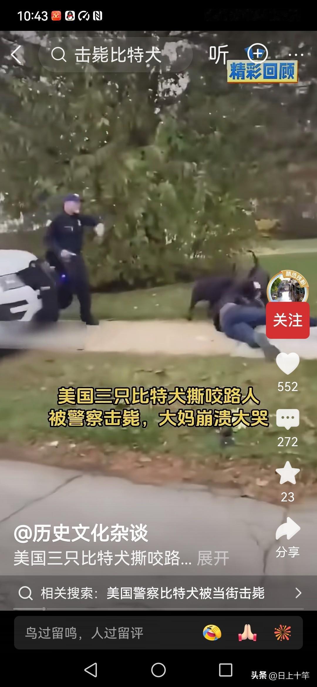 美国虽然有些严格的动物保护法，面对动物伤人事件，还是很干脆的，直接动枪！这是美国