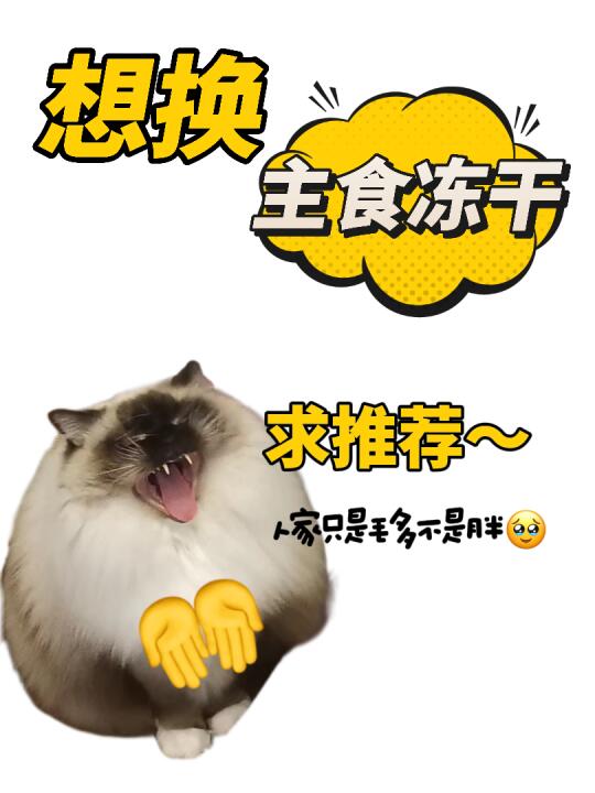 给挑食主子换粮，ve冻干靠谱吗？