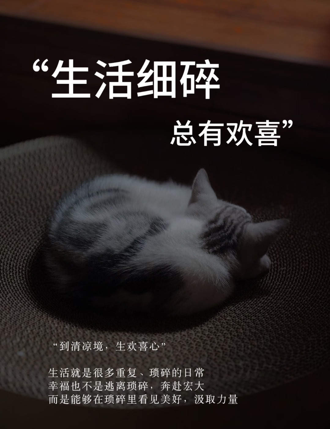 从前爱说：等…了，就…。那种未被满足的委屈在暗处滋生，不知不觉，让人陷入「受害者