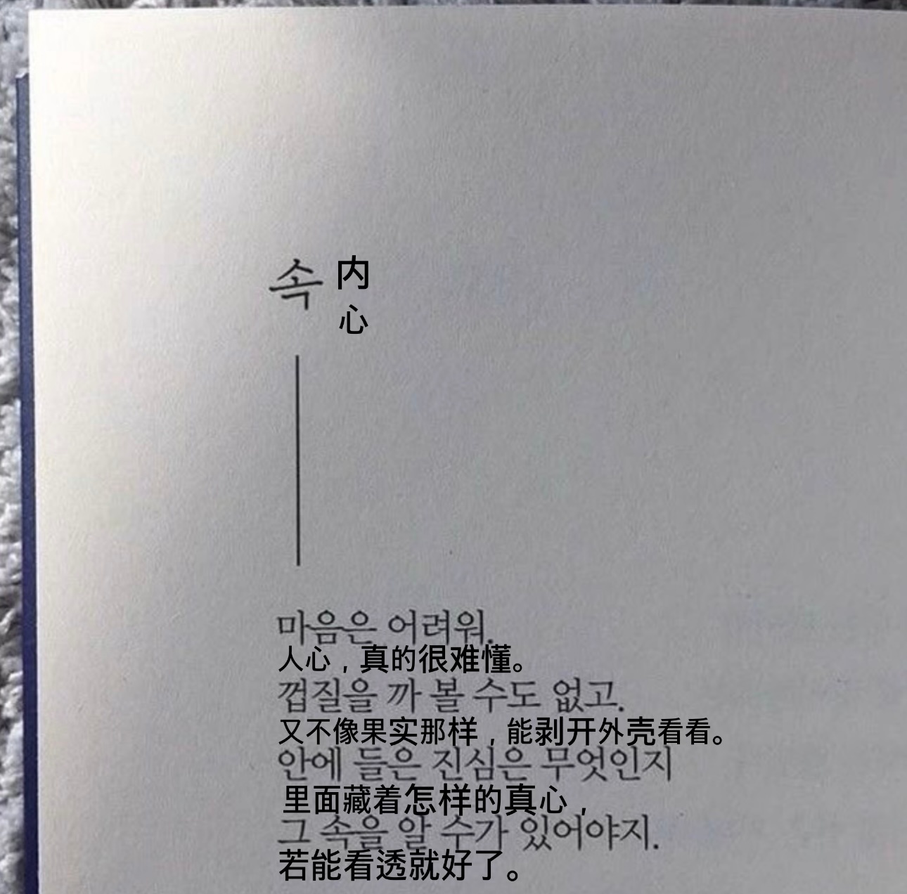 속 