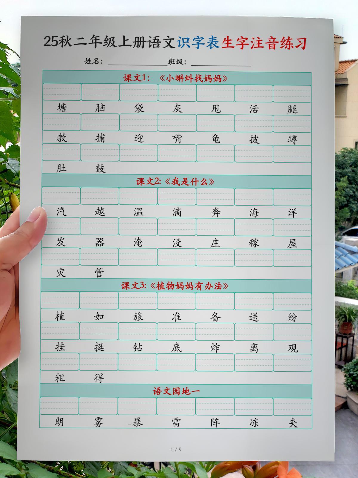 25秋二年级上册语文识字表生字注音练习（460个字9页）