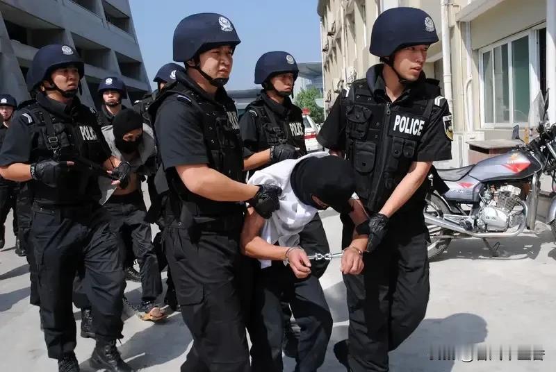 2026年除夕凌晨，山东寿光一辆货车被烧，大年初三两名嫌疑人就落网了。原来，嫌疑