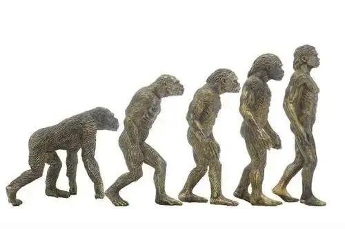 课本画错了350万年：当年东非大草原上不只露西一家在卷。

2025年11月，亚