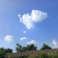 盼了好久侄子终于带着孩子来我家玩了，因为闺女不起床，所以闺女和侄子媳妇没来，不过