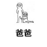 秦睿热逛汽车