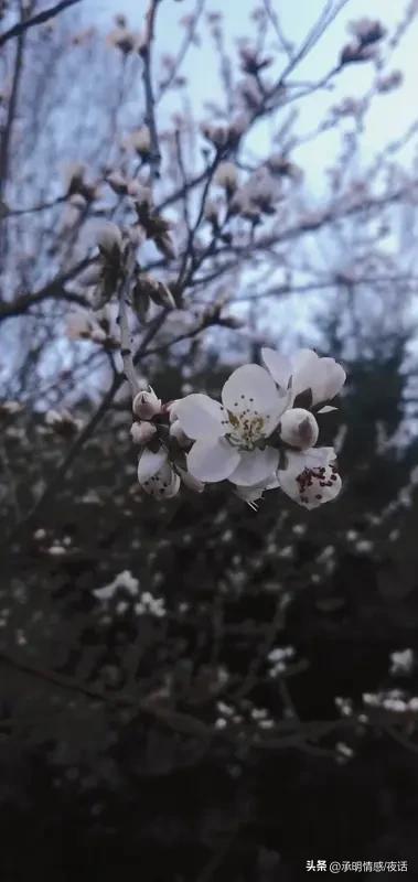 酒色财气这“四害”，真不能碰？非也！
家人们常言“酒是穿肠毒药，色是刮骨钢刀”，