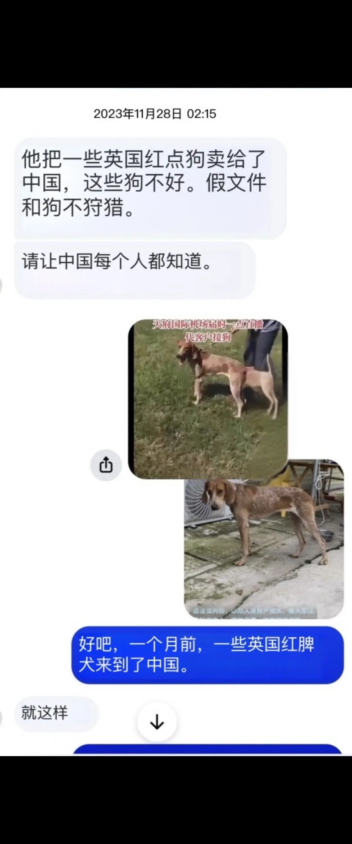 这个世界没有不透风的墙！一年半前你们包装出来所谓PKC“冠军🏆”后代...