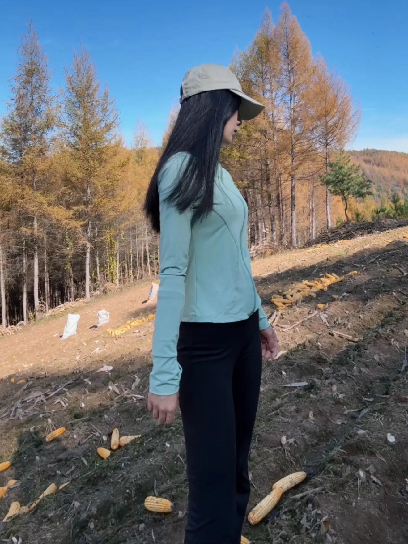 一到秋天就莫名感觉到淡淡的忧伤