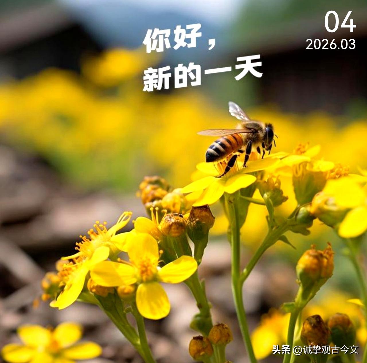 能过好今天的人明天也不会差，未来是好是坏我们不能预料，但可以做好当下每一件小事，