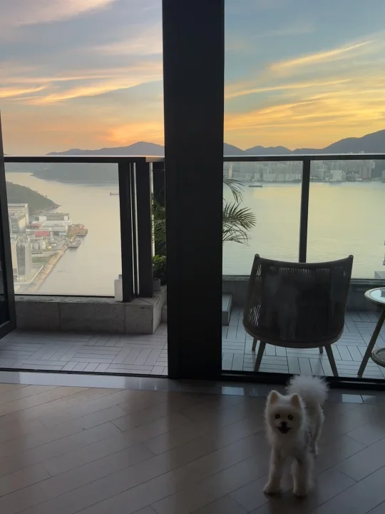 香港生活｜每天可以看日落的家