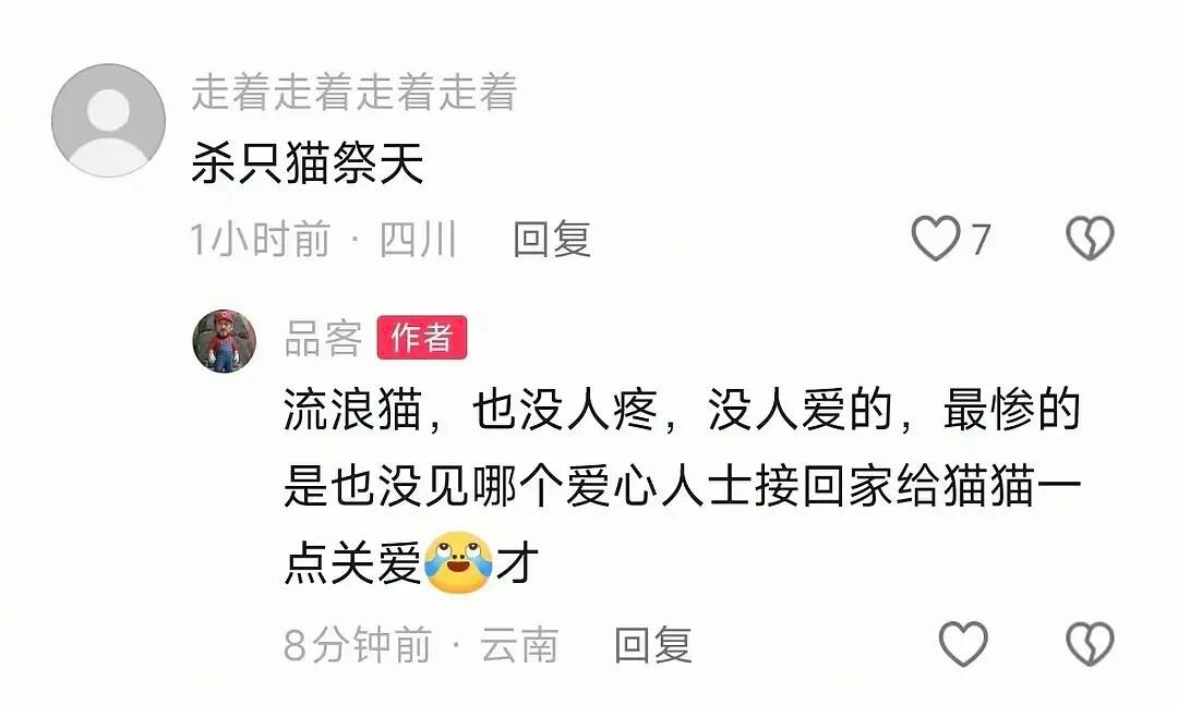 《红舞鞋》剧组工作人员昨天还在🫘回复：“流浪猫，也没人疼，没人爱的，最惨的是也