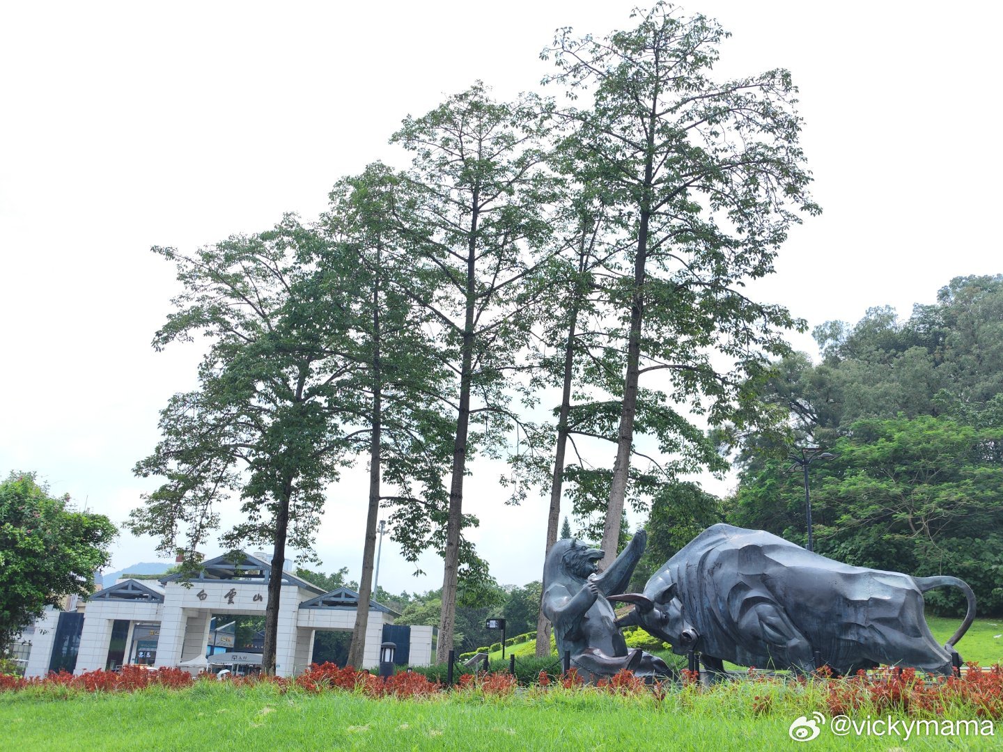 原来在雕塑公园里的牛熊雕塑真的搬来白云山西门前面了，搬迁时间大概是上月吧（202