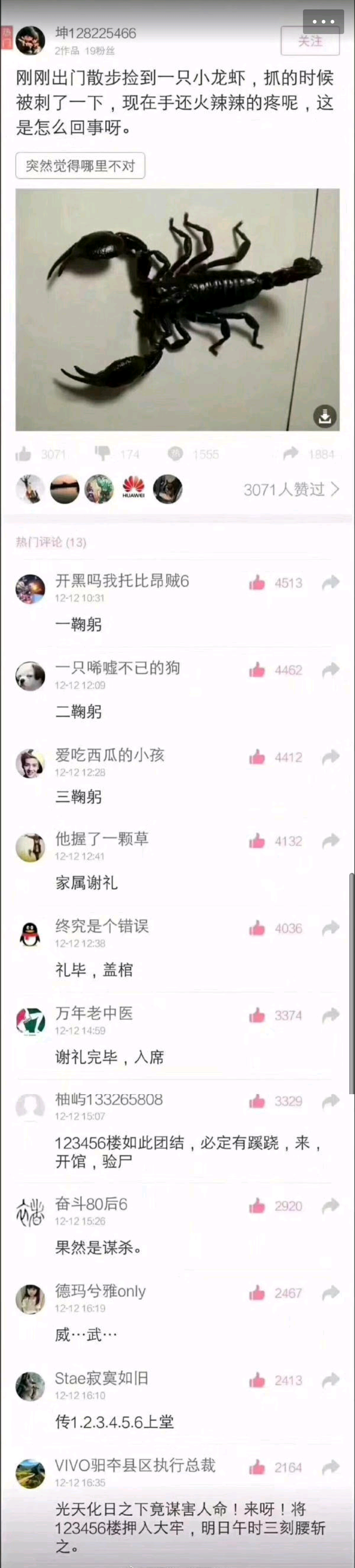 麻辣小龙虾 ​​​