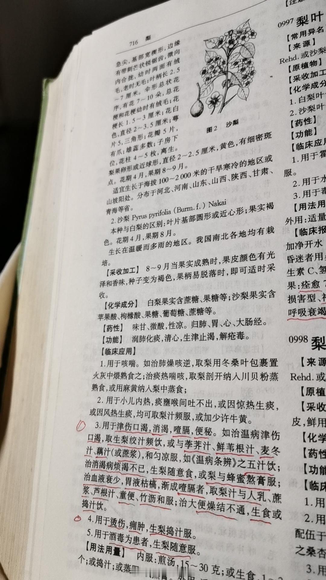中药书里面的一个药梨这个是很好的一个中药对于蒸梨这个事情我是花钱学过的[捂脸]我