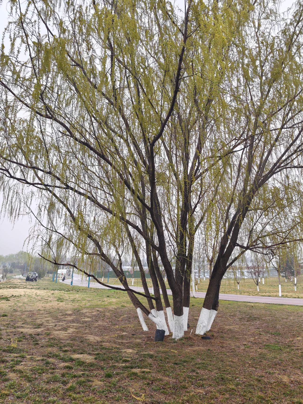 帮助员工不断提高自己，提升个人价值，要有具体措施，要有制度落实，要有方式方法，而