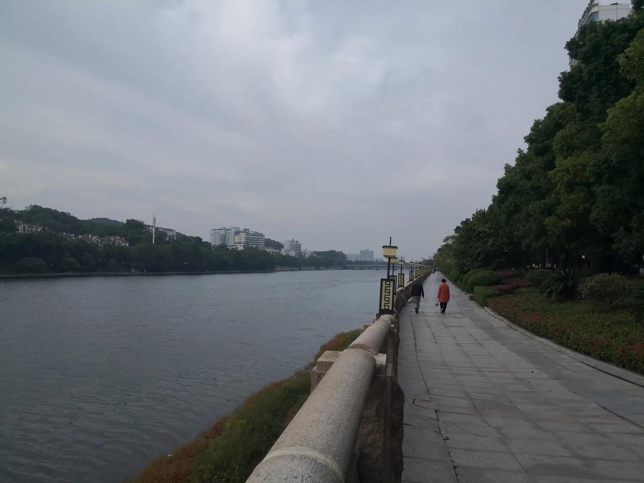 滨江公园内是楼台亭榭，奇花异草，苍天古树依地貌，依河曲而生，顺着公园的路走，每走