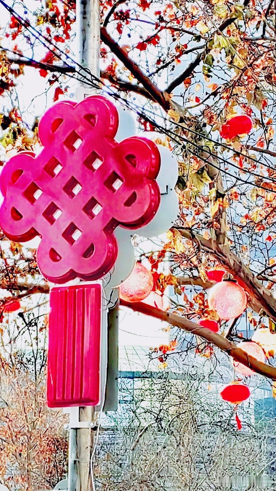 这年已进入尾声了，
女儿她们已经开工。

街道两旁的彩灯，
还有着浓浓的年味。