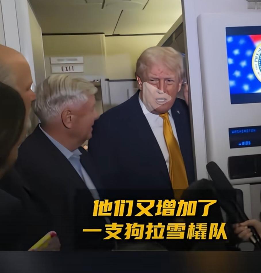 特朗普称丹麦的安保，为了加强格陵兰岛的安全保护，他们又增加了一个雪橇队。意思很明