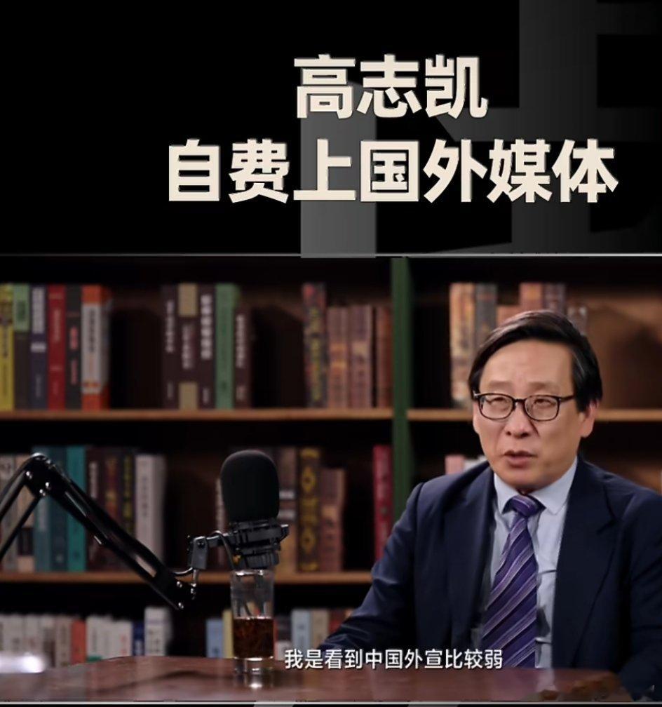 高志凯自费上国外媒体这真的是“先天下之忧而忧”了