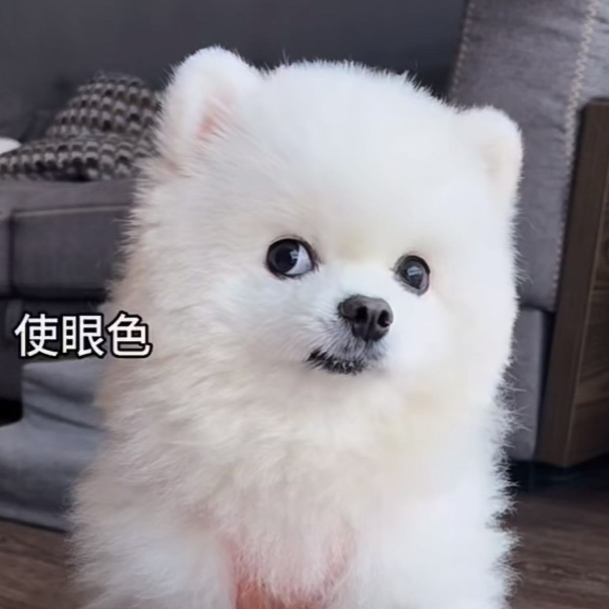oi！干啥呢？
