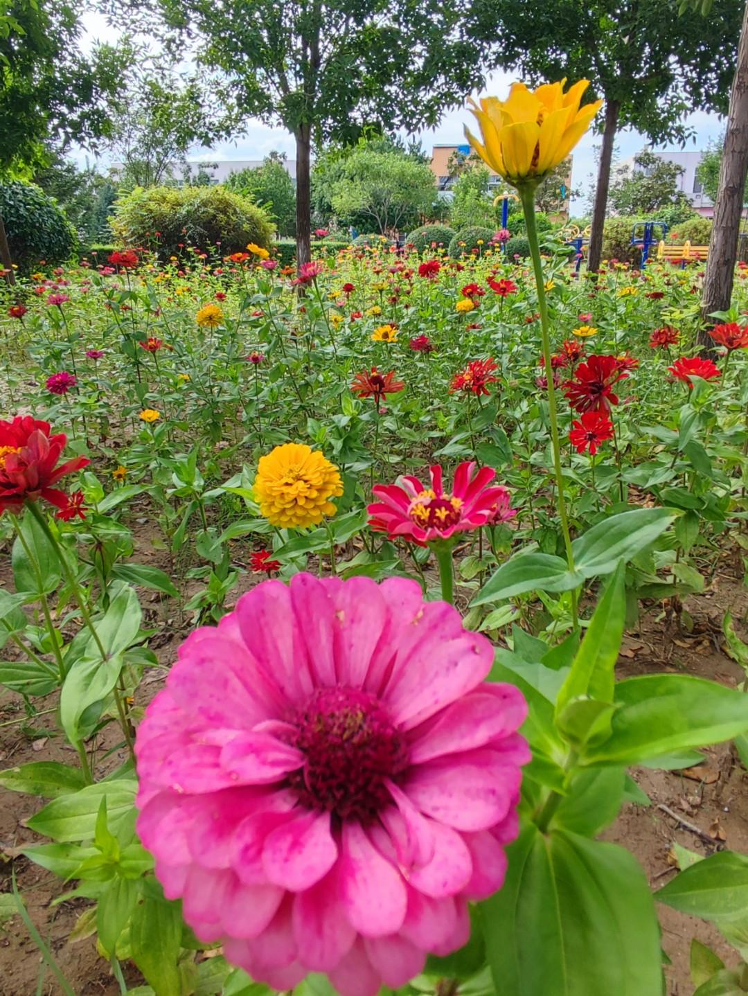 人遇事一定要学会看开
从老公检查出病，
到现在刚好一年，
这一年我感觉像是过了十