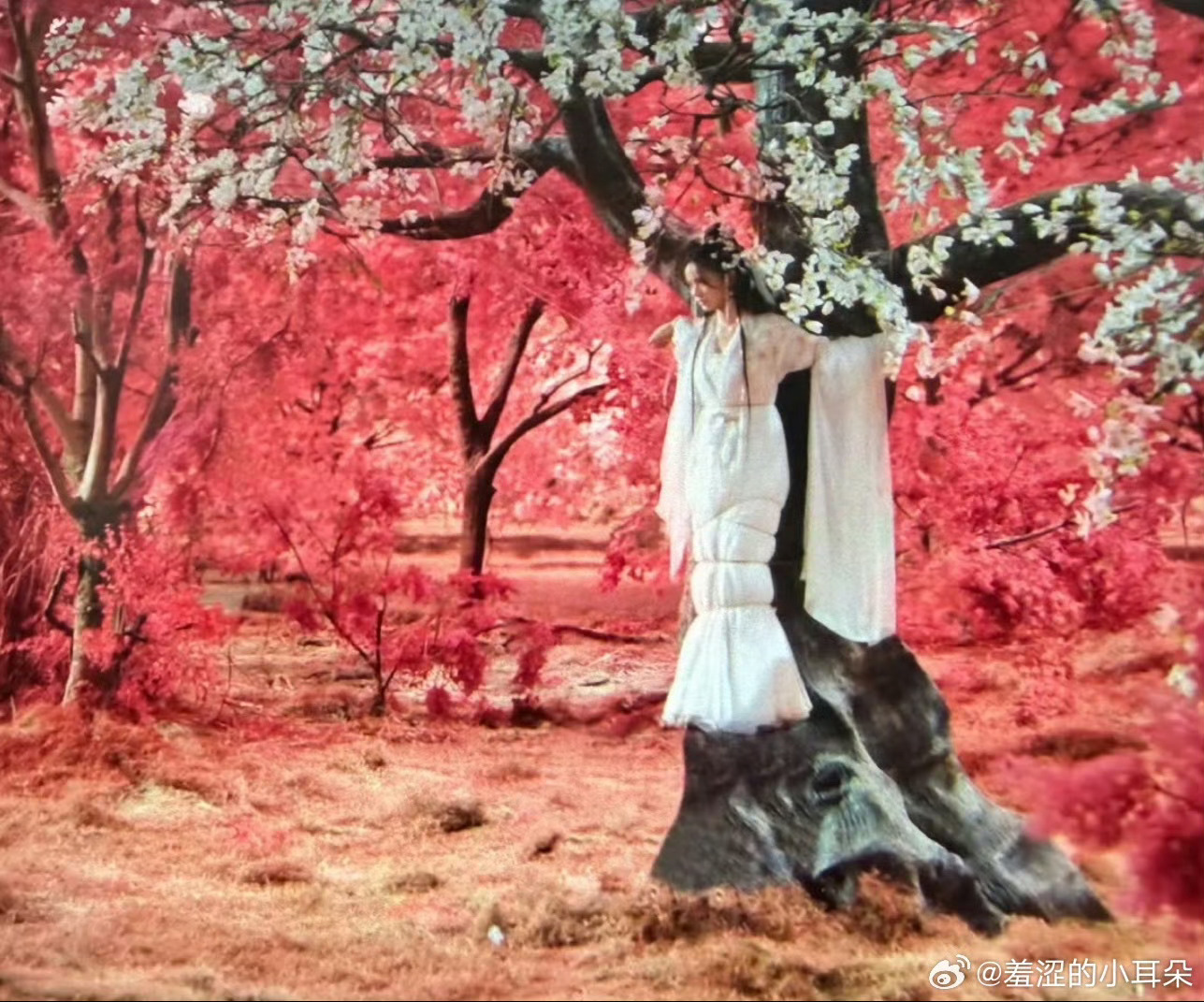 给林允捆成美人鱼了起猛了在水龙吟看到美人鱼了 哈哈哈哈哈我笑得 ​​​