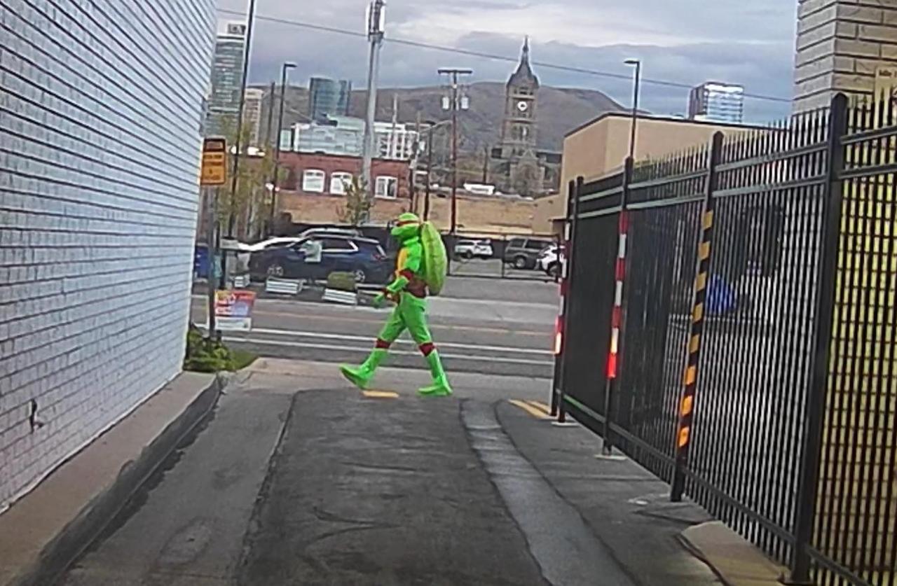 盐湖城市政厅附近，一只忍者神龟拿着中餐菜单走在街头。网友拍下照片，有人联想到电影