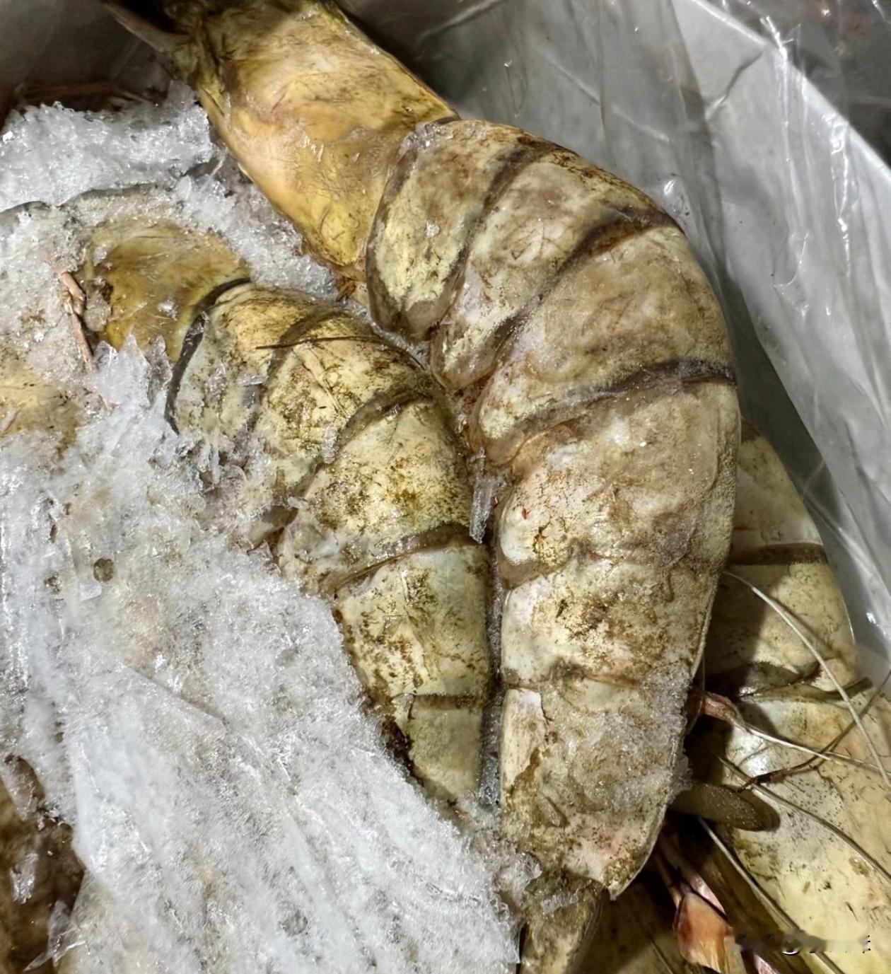 请问这个虾放冰箱一年多了还能吃吗？