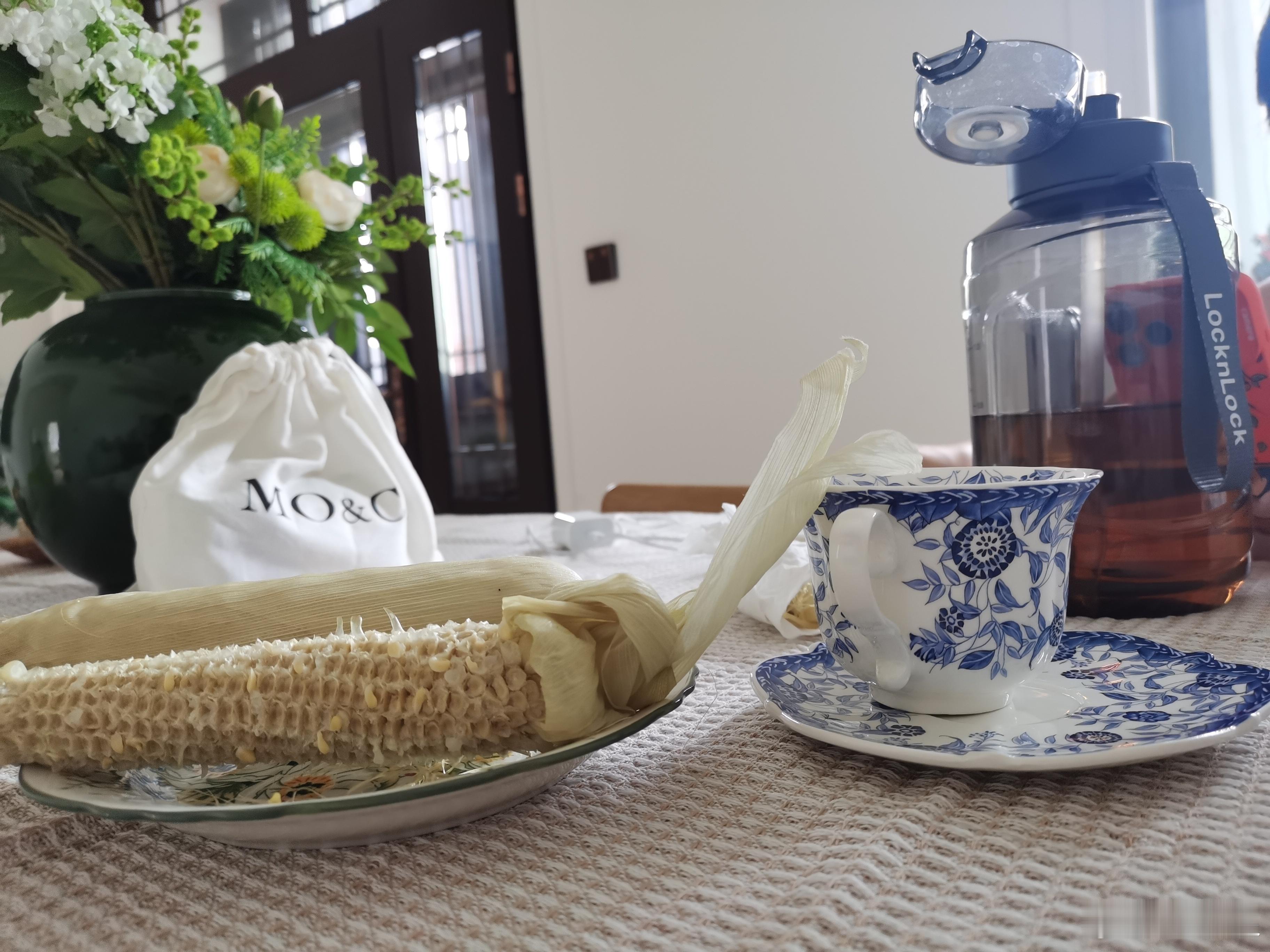 猫姥姥驾到对我现在的居所非常不满意，让我带猫搬家