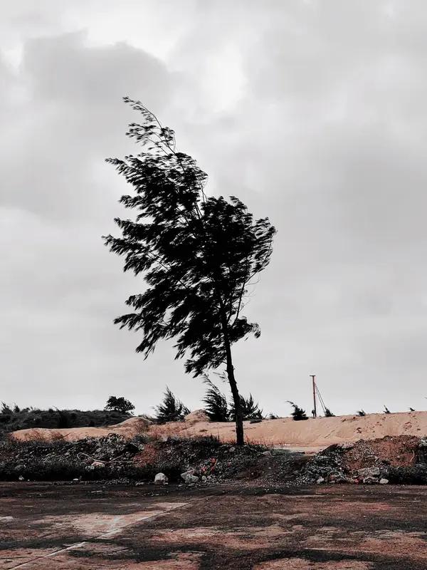 所以，我们真没必要提早焦虑设定太多。谁知道，意外的到来是好还是坏呢？